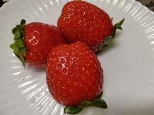 fruit01.jpg