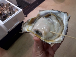 oyster2.jpg