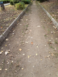 path01.jpg