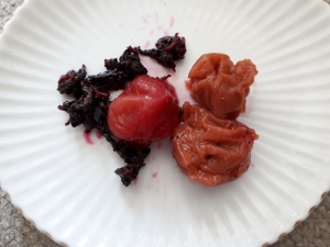 umebosi01.jpg