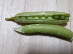 vege4.jpg